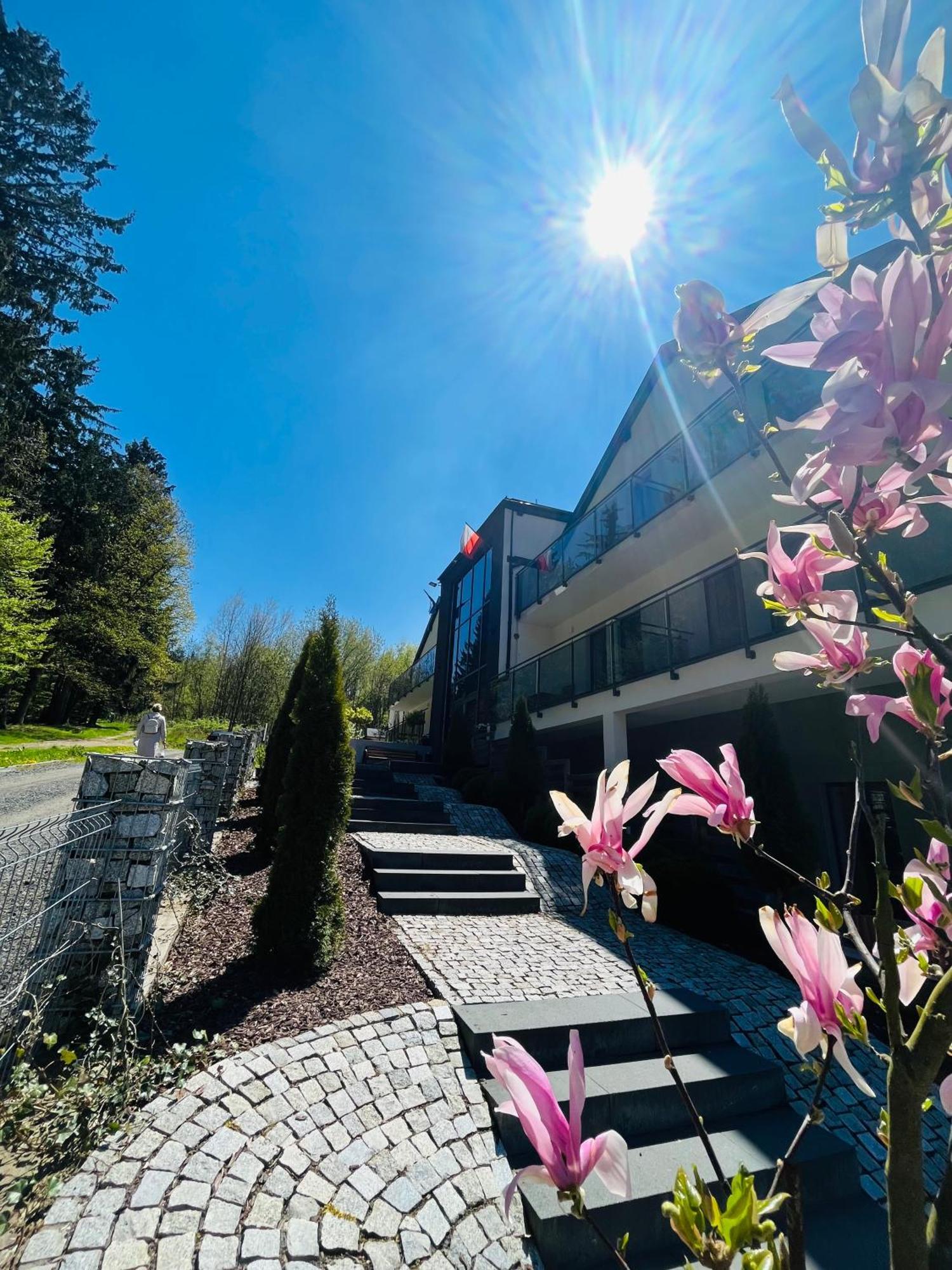 La Park Aparthotel Kudowa-Zdrój Eksteriør billede